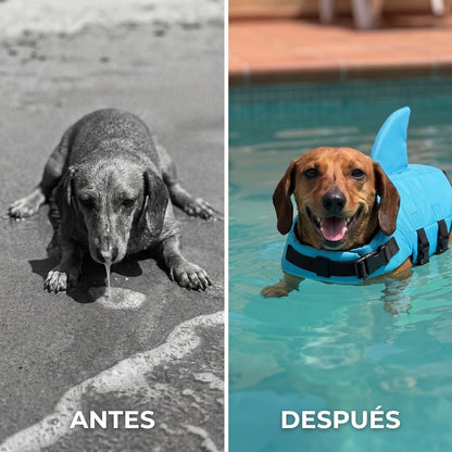 Flotador Canino