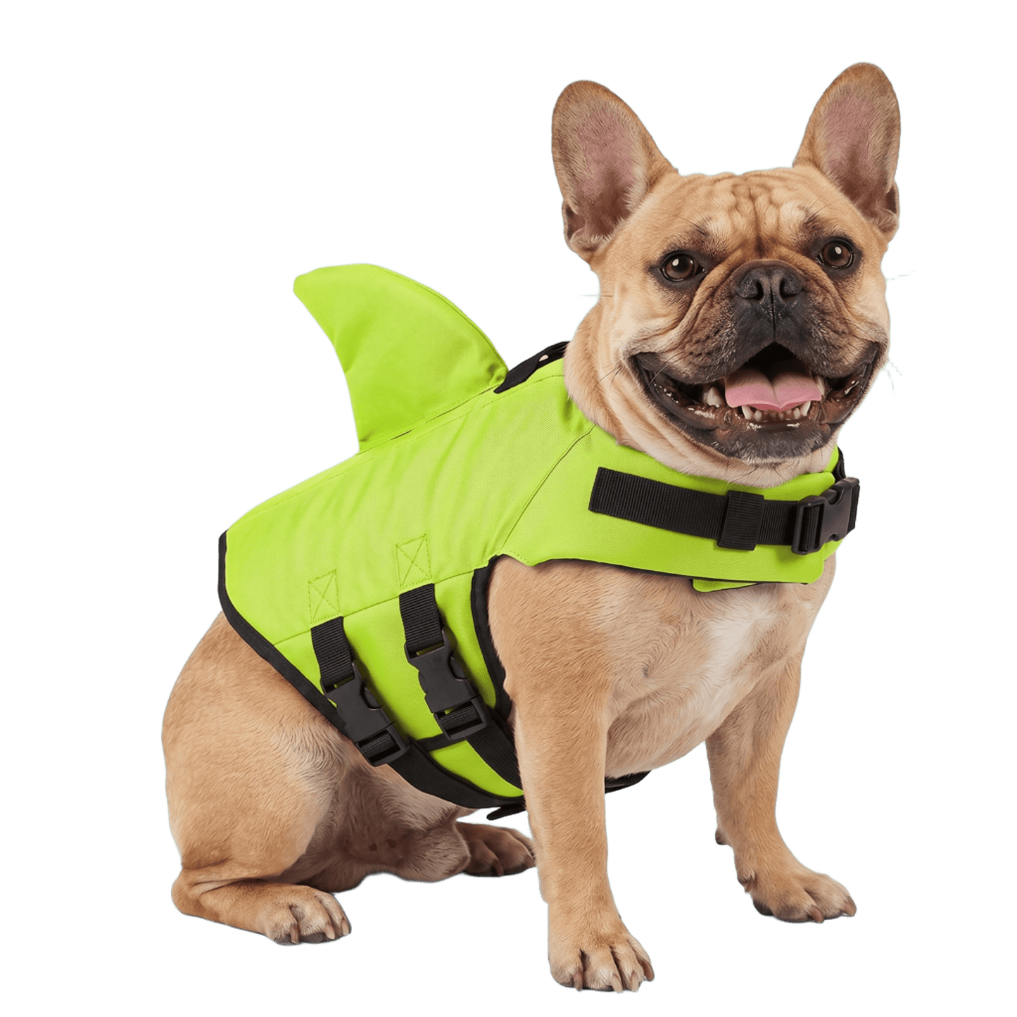 Flotador Canino